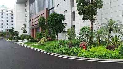 廠外綠化裝修翻新改造