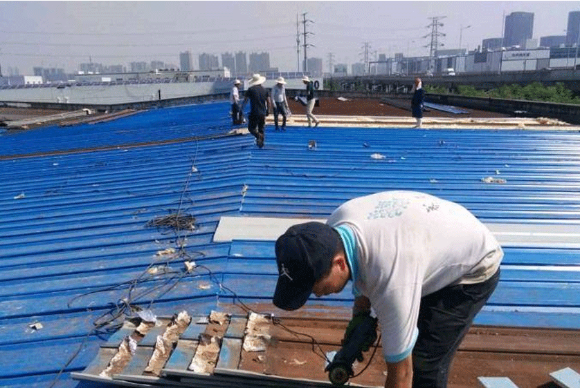 工廠內(nèi)外維修  合世醫(yī)療 廠房屋頂維修